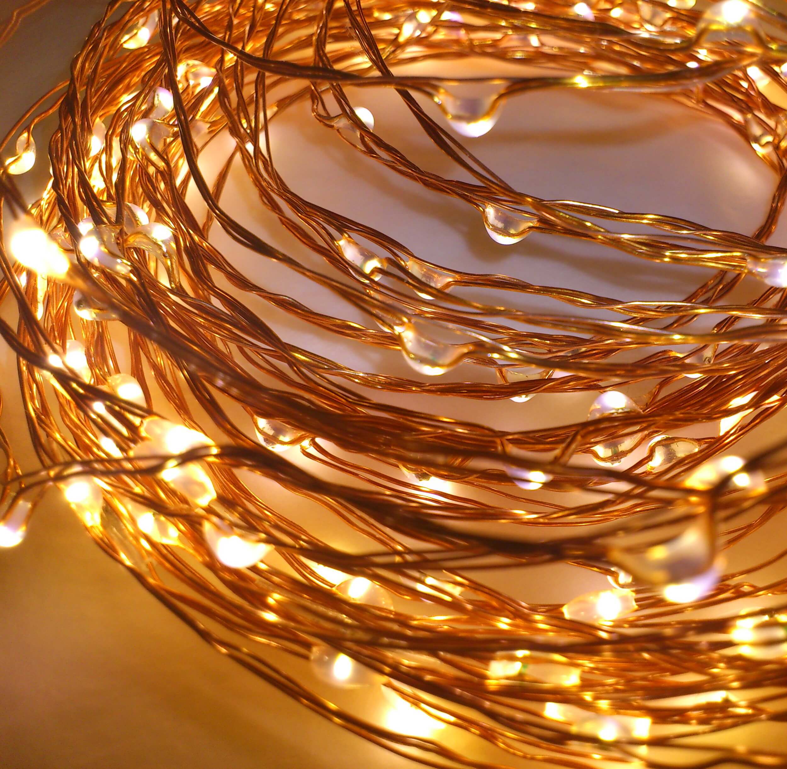 Silver Wire String Lights - Qualizzi Mottors