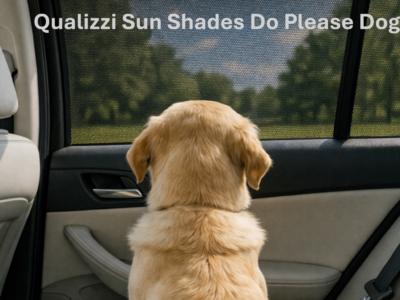 Best Car Sunshades for Dogs and Pets — Mesh vs Cling vs Magnetic for Airflow and Safety
