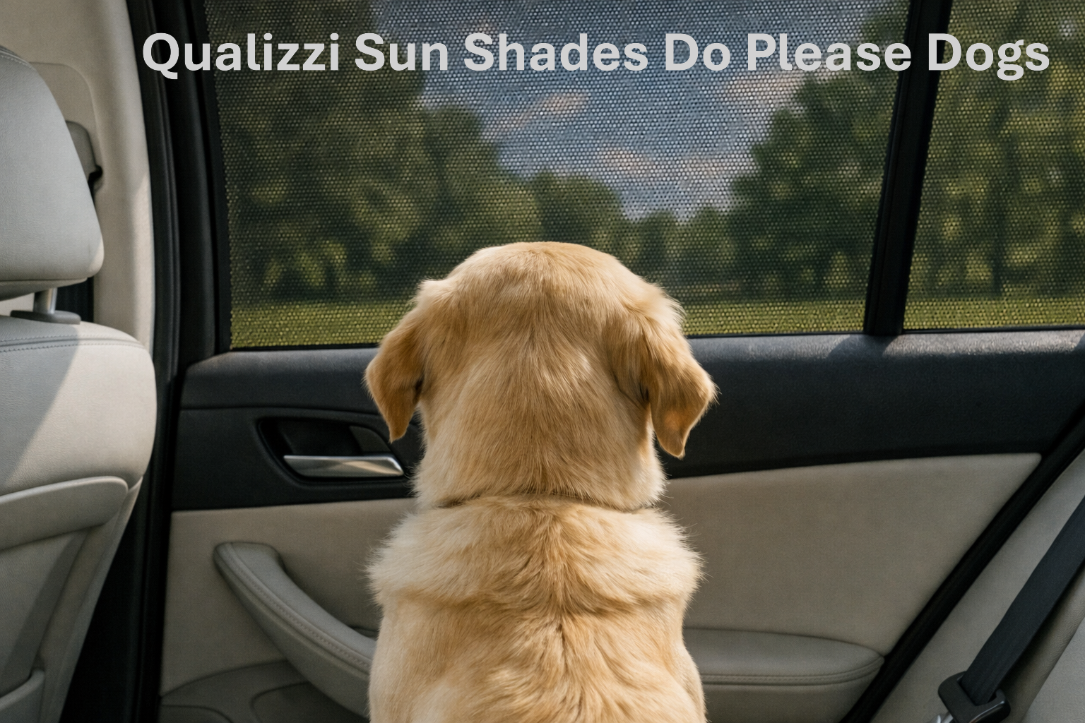 Best Car Sunshades for Dogs and Pets — Mesh vs Cling vs Magnetic for Airflow and Safety